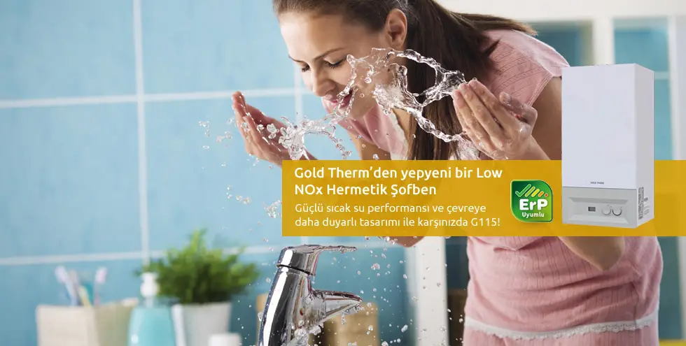 Gold Term Şofben Yetkili Servis